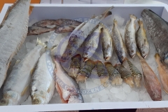 China-Fisheries-and-Seafood-Expo-2018
