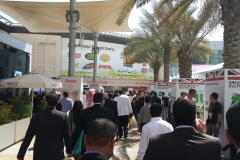 Gulfood 2014