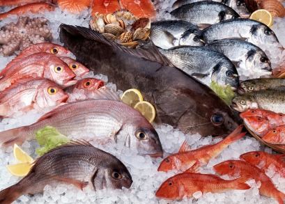 Frozen Fishes