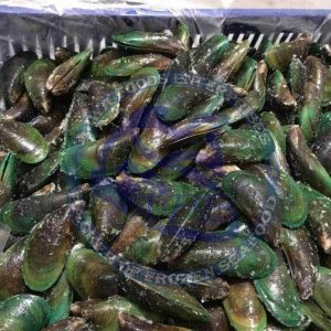 Green Mussels