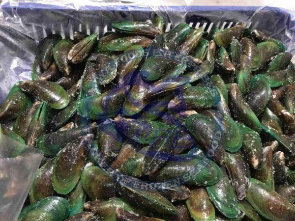 Green Mussels