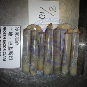 Razor Clam