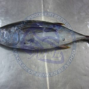 Yellow fin tuna