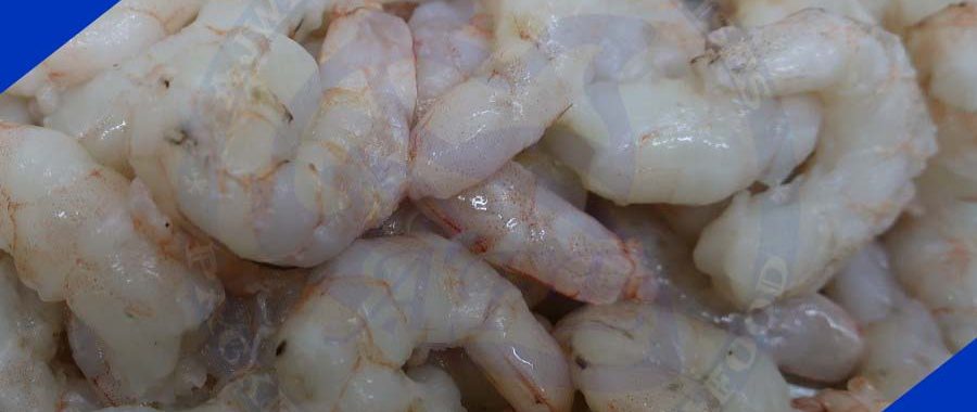 FROZEN PUD SHRIMPS PAKISTAN